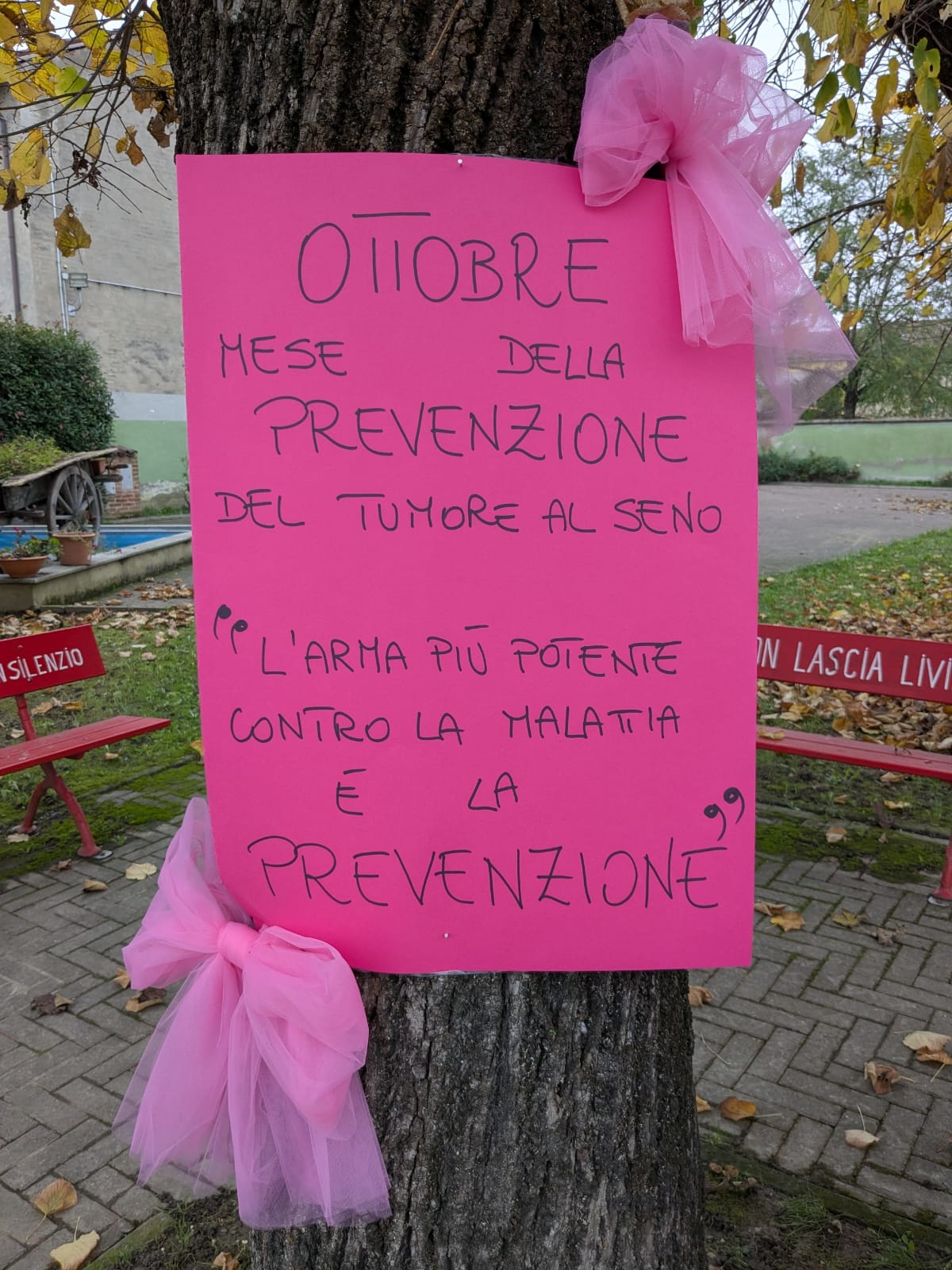 Ottobre Rosa 2024 - Incontro ANDOS - La prevenzione di oggi è la cura di domani